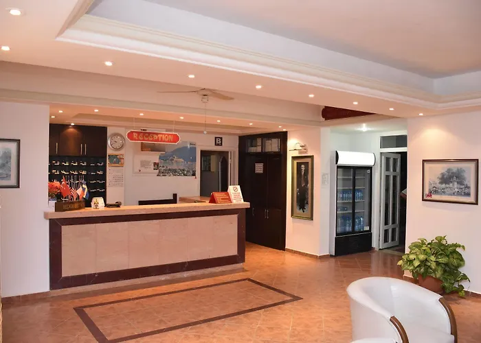 Seckin Best Αλικαρνασσός